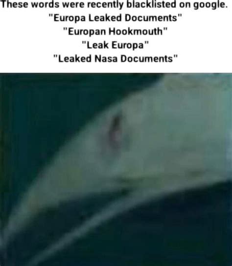 hookmouth|Life On Europa Leaked Documents / Europan .